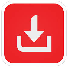 VidsMooth logo